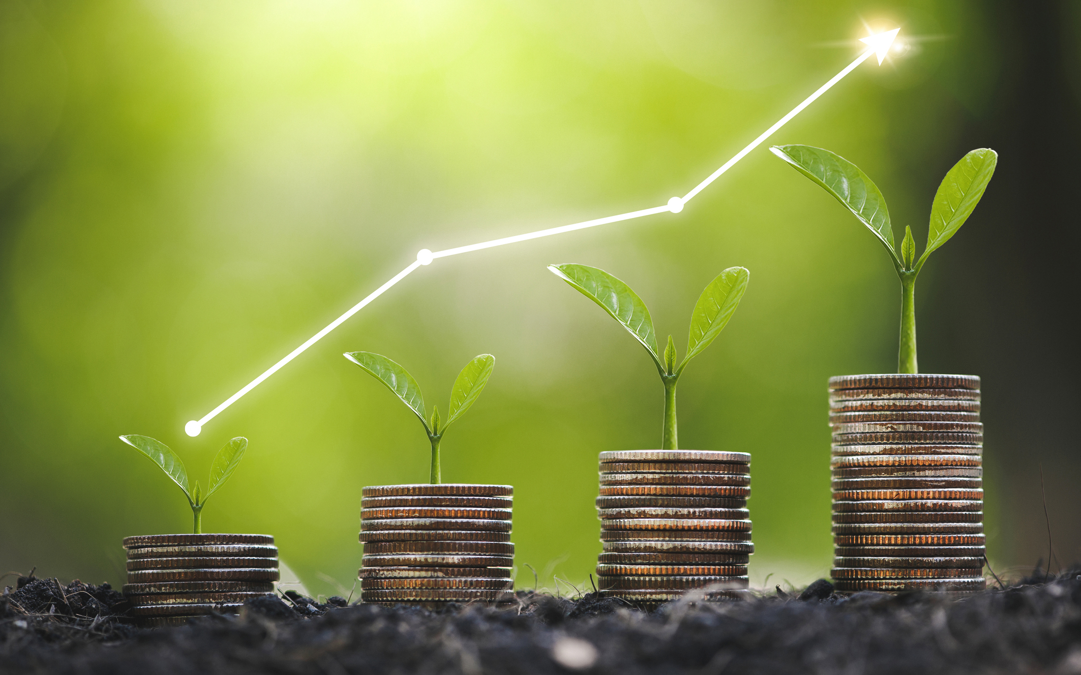Investment Services